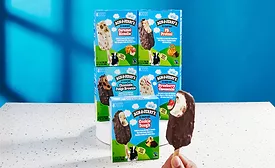 Ben & Jerry's introducing new ice cream bars