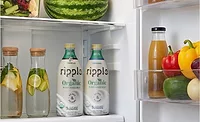 Ripple Foods launches plant-based milk