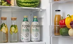 Ripple Foods launches plant-based milk