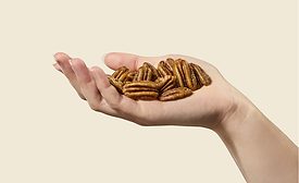 Pecans in a hearth healthy diet