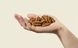 Pecans in a hearth healthy diet