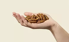 Pecans in a hearth healthy diet