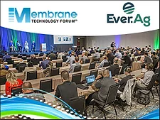 Mtf26 encore webad 328x246 everag1