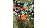 Shamrock Farms sponsorship of GSU