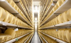 Arthur Schuman Inc. cheese importer