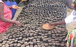 Alland-Robert-Senegal-acaica-gum-Kim-Decker-Dairy-Foods-8887.jpg