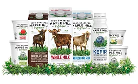 maple hill dairy