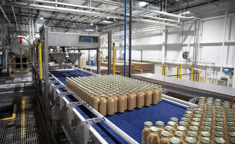2. Bottles going to automated basket loader