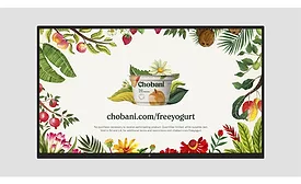 Chobani yogurt giveaway