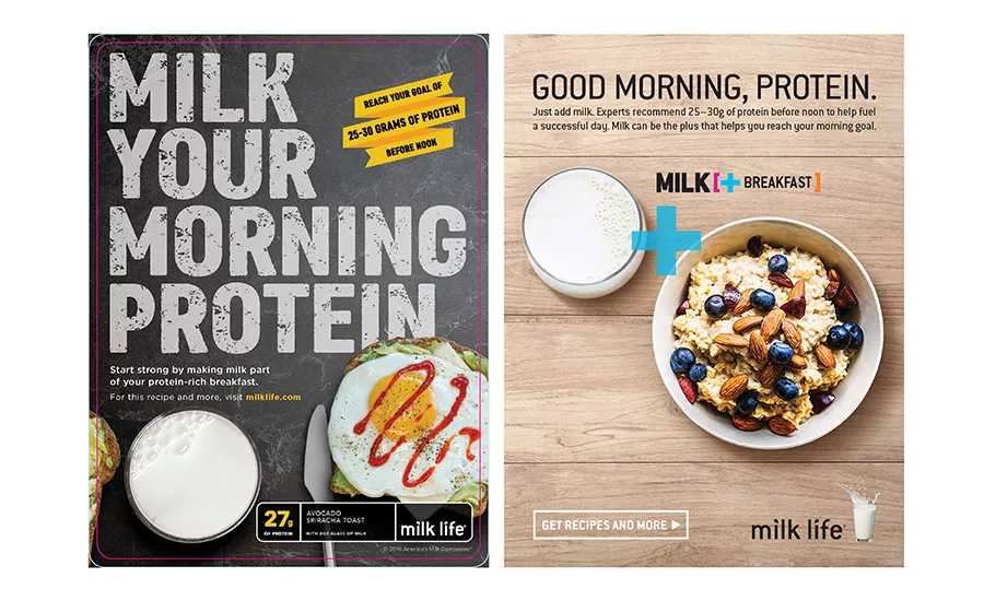 milk protein