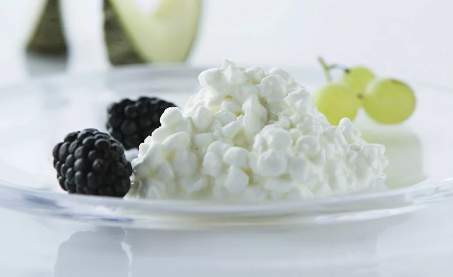 cheese ingredients chr hansen