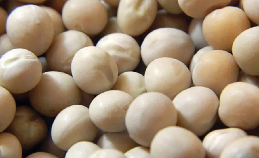 Can functional ingredients fit in a clean label world?