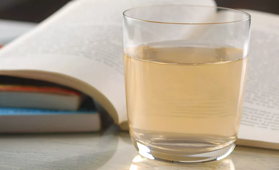 Ingredients suppliers target sustainable, clean-label solutions for beverages