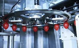 "The advantages of bringing blow-molding operations in-house "