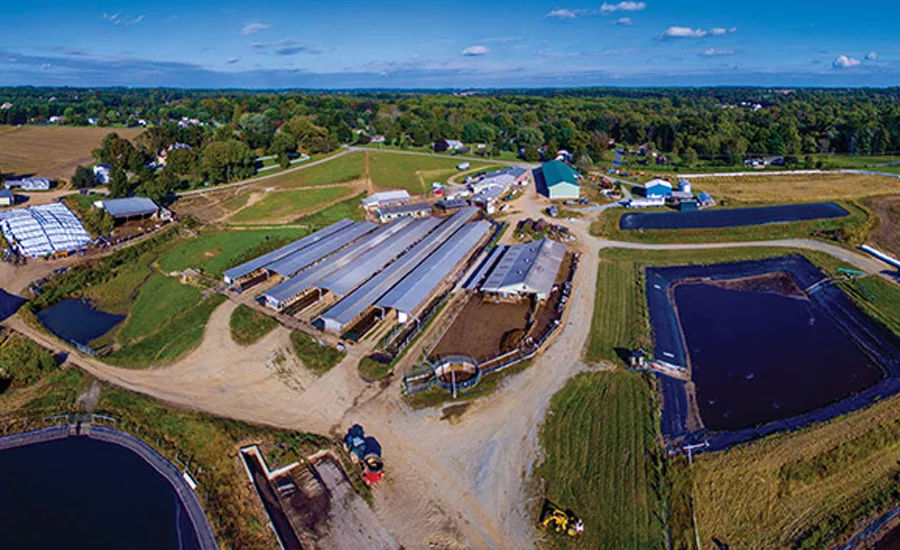 Kilby Cream gets fresh: a look inside the dairy processor's operation
