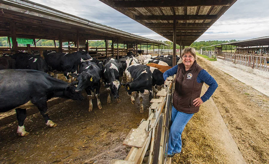 Kilby Cream gets fresh: a look inside the dairy processor's operation