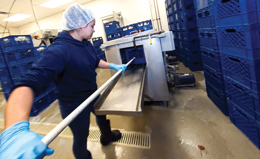 Kilby Cream gets fresh: a look inside the dairy processor's operation