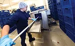 Kilby Cream gets fresh: a look inside the dairy processor's operation