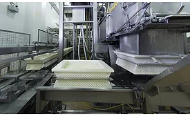 Inside Arla’s cheese plant: the largest Havarti producer in U.S.
