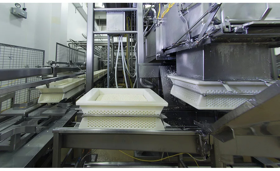 Inside Arla’s cheese plant: the largest Havarti producer in U.S.