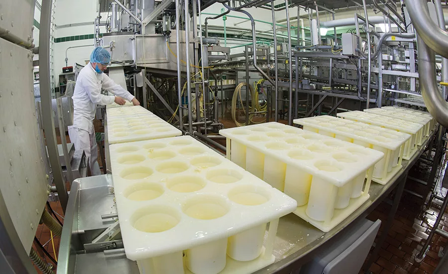 Inside Arla’s cheese plant: the largest Havarti producer in U.S.