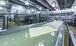 Inside Arla’s cheese plant: the largest Havarti producer in U.S.