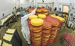Inside Arla’s cheese plant: the largest Havarti producer in U.S.