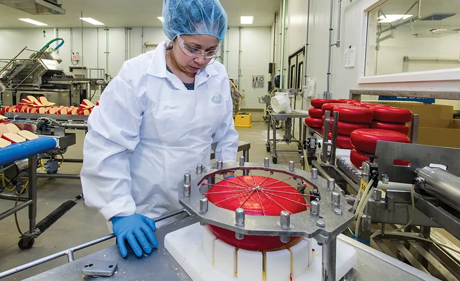 Inside Arla’s cheese plant: the largest Havarti producer in U.S.