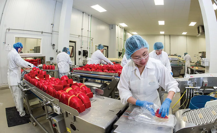 Inside Arla’s cheese plant: the largest Havarti producer in U.S.