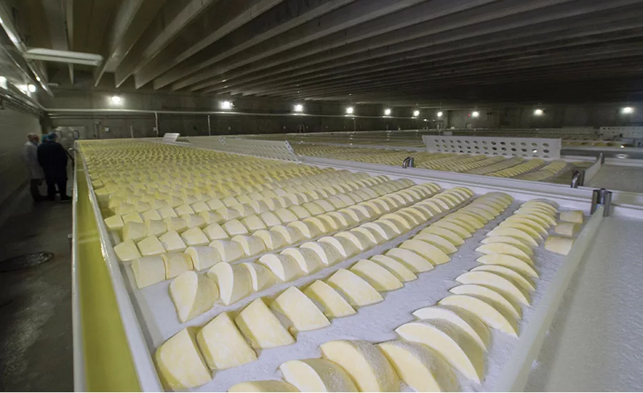 Schuman Cheese's Lake Country Dairy plant makes Italian-style, alpine cheeses