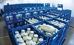 Danzeisen Dairy takes an old-school approach to milk processing