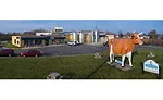 Cedar Crest Ice Cream is a house of many flavors