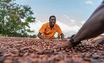An inside look at Barry Callebaut’s cocoa production in West Africa