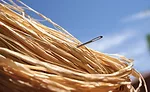 Detection, inspection systems: find that needle in the haystack