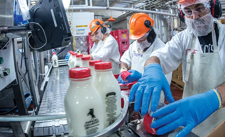 Inside the plant: Straus Family Creamer's formidable foundation