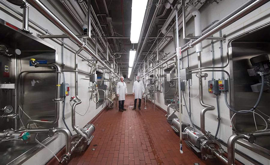 Operation revival: inside Lifeway Foods' dairy plant