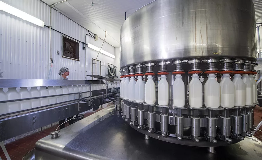 Operation revival: inside Lifeway Foods' dairy plant