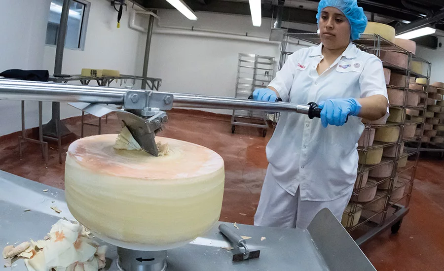 Inside Emmi Roth: specialty, with scale