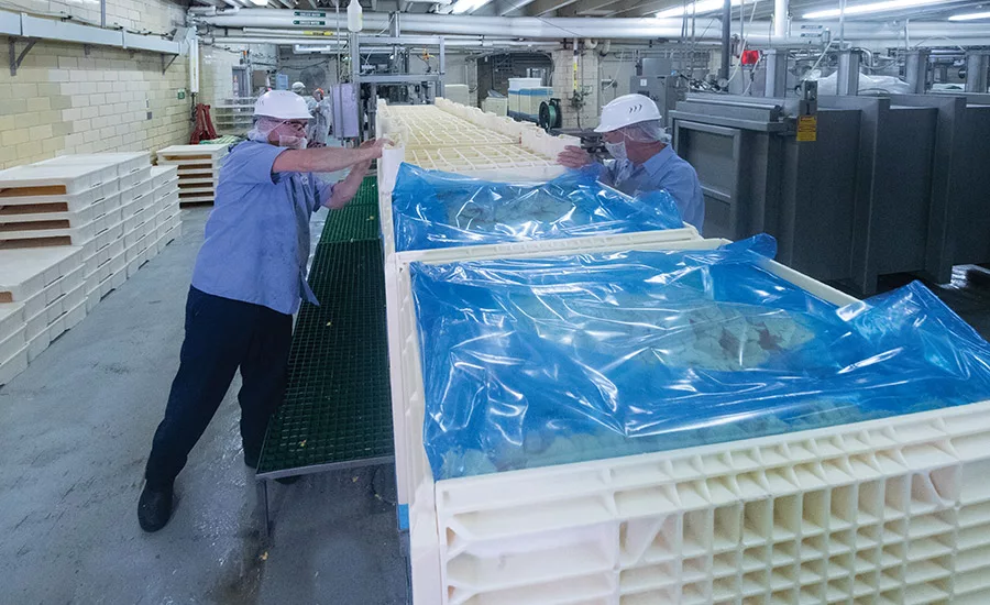 Seeing double: Inside Associated Milk Producers' Sanborn, Iowa, plant