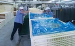 Seeing double: Inside Associated Milk Producers' Sanborn, Iowa, plant