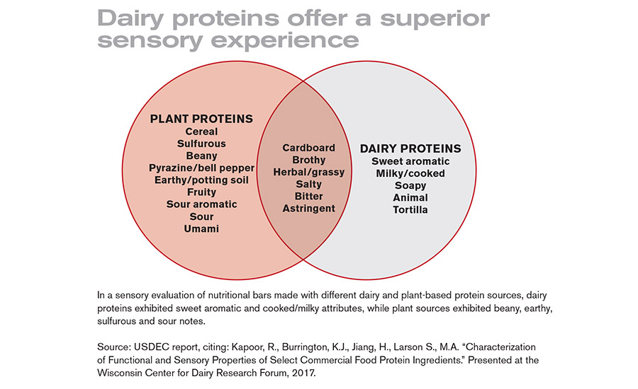 Dairy proteins shine