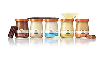 1 The indulgence factor: trends in frozen and refrigerated dairy desserts