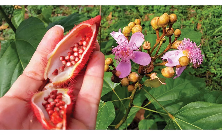 Frutarom Natural Solutions Ltd