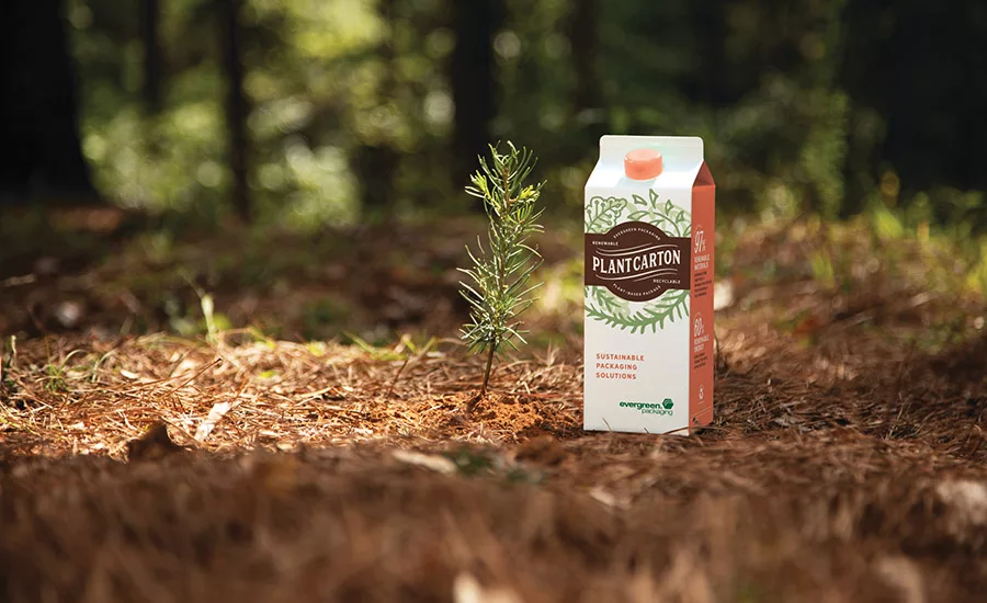 Consumer trends define new rigid container offerings