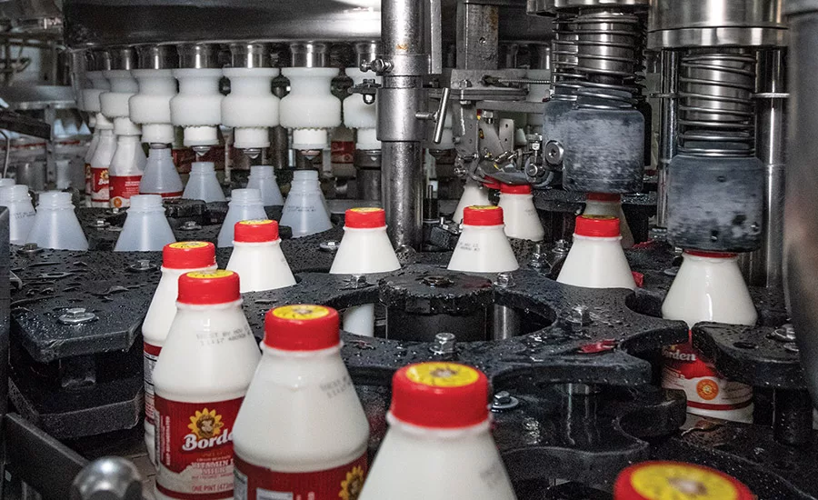 It's a matter of teamwork for Borden Dairy's Dallas plant