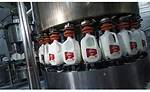 It's a matter of teamwork for Borden Dairy's Dallas plant