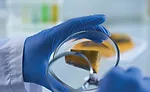Improve inspection and detection of dairy product contaminants