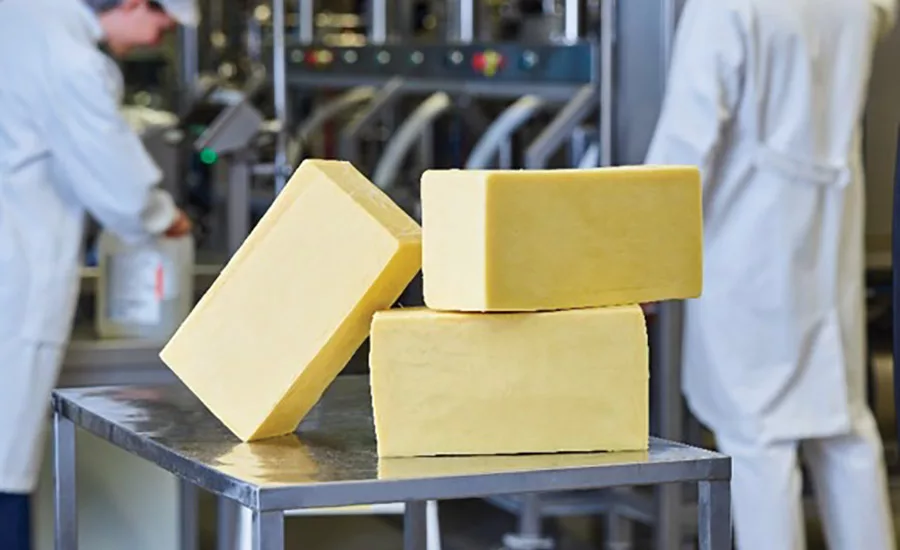 Cultures and enzymes present an innovation opportunity for dairy processors