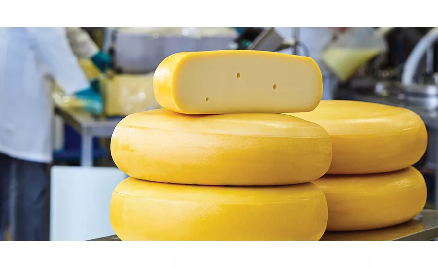 Cultures and enzymes present an innovation opportunity for dairy processors