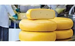 Cultures and enzymes present an innovation opportunity for dairy processors